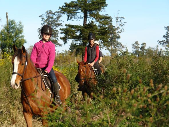 Hog Hollow Country Lodge - Horse Riding 